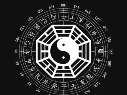 Chinese Metaphysics Comprehensive Consultation